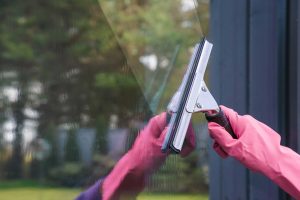Window Cleaner Window Cleaner